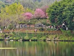 -重庆彩云湖湿地公园