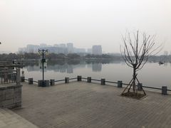 -聚龙湖公园