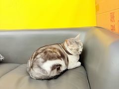 -谜盒子奇幻密室(南屏店)