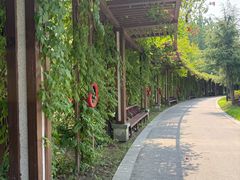 -狼山风景名胜区