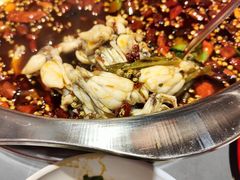 -鸿顺老铁锅美蛙鱼府(解放碑店)