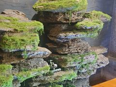 -红沃烤肉(家乐福2部店)