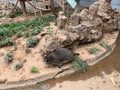 -石家庄市动物园