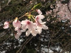 -西安青龙寺遗址景区