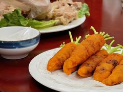 -丁老爷子苏香圆