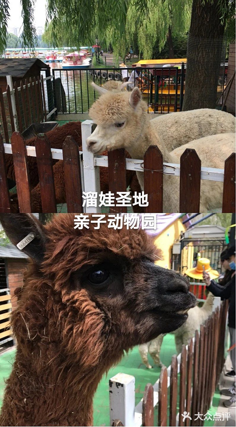 溜娃圣地/亲子动物园