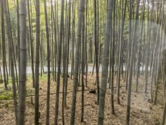 -苏州环秀晓筑养生度假村