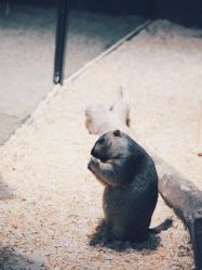 -酷嗒动物文化乐园(cutezoo西溪乐天城店)