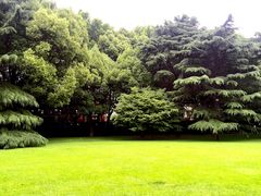 瑞金宾馆-上海瑞金洲际酒店