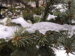 -迪卡侬(赛德店)