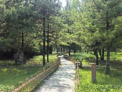 -森林公园(尖草坪区)