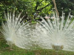 -宁波野生动物园