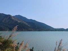 -羚羊峡古栈道森林公园