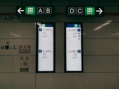 -盈丰路(地铁站)