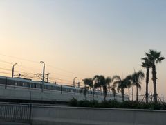 -海堤纪念公园