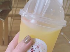 -Husky Go! 哈士奇体验馆·宠物咖啡厅狗咖