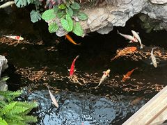 -广州白天鹅宾馆