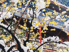 -开福禅寺