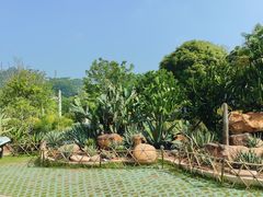 -东莞植物园