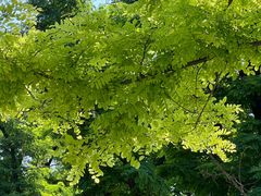 -汉长安城未央宫国家考古遗址公园