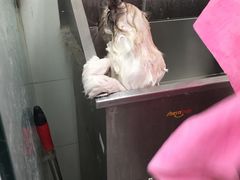 -宠颐生中康贝怡动物医院