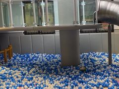 -龙格亲子游泳·水育早教运动中心(绿城店)