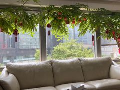 -精德口腔·种植修复·儿牙中心(财富中心店)