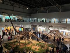 -自贡恐龙博物馆