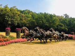 -广州雕塑公园