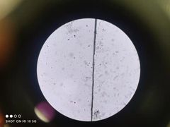 -守诺宠物医院·眼科· 特色牙科·异宠专科(虹口店)
