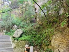 -王顺山国家森林公园