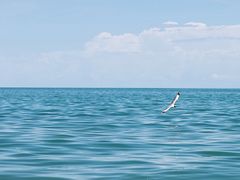 -青海湖二郎剑景区