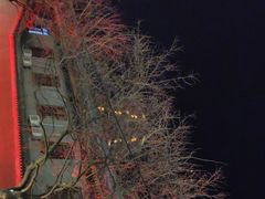 -大雁塔文化休闲景区-北广场