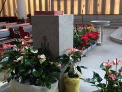 iphone_upload_pic-海淀教堂教堂婚礼
