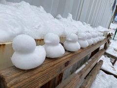 -太子岭滑雪场