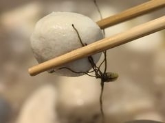 -张凯达·深海石斑鱼潮汕火锅(十五年品牌•虹桥天街店)
