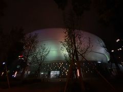 -成都金融城演艺中心