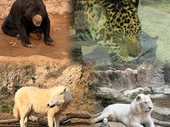 -杭州野生动物世界