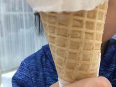 椰丝冰淇凌-VENCHI 闻绮(北京国贸商城店)