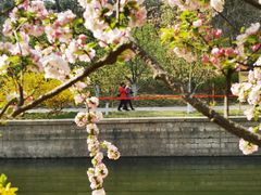 -海棠花溪(元大都城垣遗址公园)
