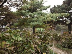 -国家植物园南园