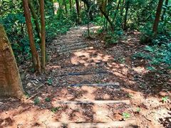 -火炉山森林公园