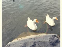 -上海怡沁园度假酒店