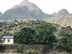 -杭州半山国家森林公园