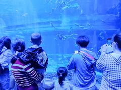 -华夏文旅海洋公园