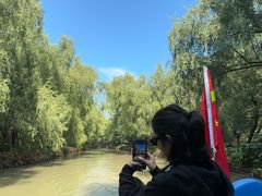 -大湾区中央湿地公园