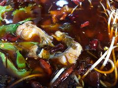 -蜀渔轩美蛙鱼火锅(郫筒店)
