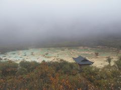 -黄龙山原始森林景区