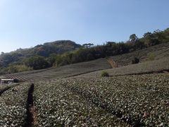 -优游吧斯邹族文化部落