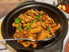 -星·South Beauty·俏江南(国贸店)